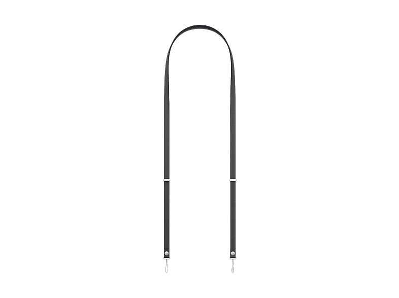 alt1