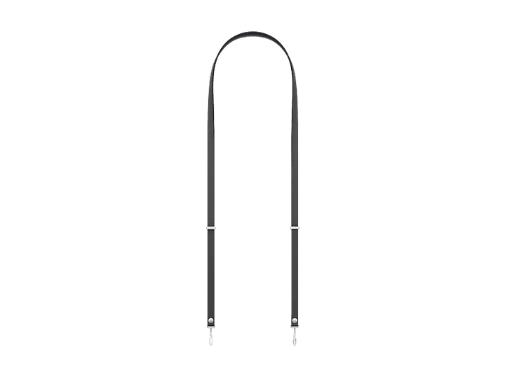 alt1