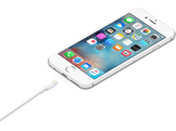APPLE Câble Lightning vers USB 1 m Blanc (MUQW3ZM/A) Câble Lightning 1 m Blanc