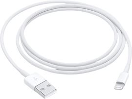 APPLE Câble Lightning vers USB 1 m Blanc (MUQW3ZM/A) Câble Lightning 1 m Blanc