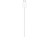 APPLE Chargeur MagSafe 2m (MX6Y3ZM/A)