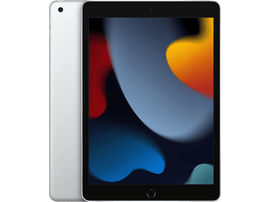 APPLE iPad 10.2" 256 GB Wi-Fi Silver Edition 2021 (MK2P3NF/A) - 256 GB - Argenté