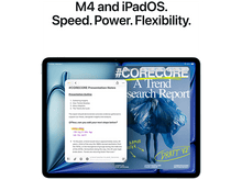 Charger l'image dans la galerie, alt1
