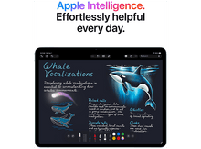 Charger l'image dans la galerie, alt1
