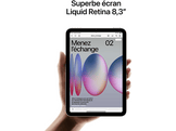 APPLE iPad mini Wi-Fi + Cellular 256GB Lumière stellaire (MXPX3NF/A)