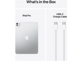 APPLE iPad Pro - 11 pouces - 256 GB - Wi-Fi - 5G - Silver