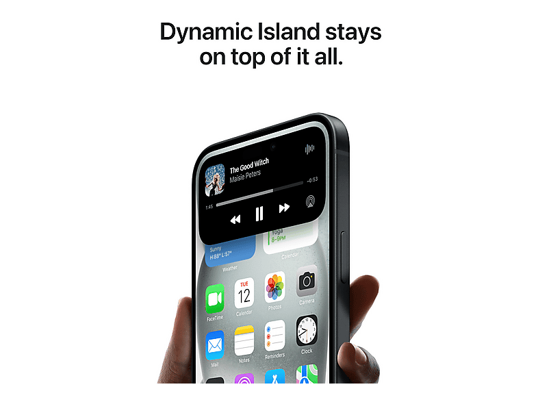 alt1