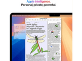 APPLE MacBook Air 13 pouces - M4 - 16 GB - 256 GB - Sky Blue - QWERTZU