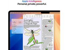 Charger l&#39;image dans la galerie, Un écran de MacBook affichant un document sur le vol des libellules. Du texte et un dessin d&#39;une libellule sont visibles.
