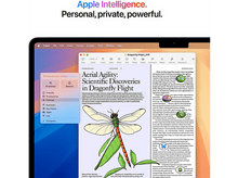 Charger l&#39;image dans la galerie, Un Macbook avec un document ouvert, texte : Agilité aérienne : Découvertes scientifiques dans le vol des libellules.
