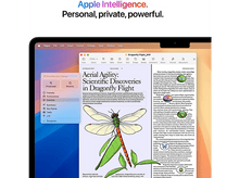 Charger l&#39;image dans la galerie, iPad avec un document ouvert, montrant du texte et une illustration de libellule. Texte en haut : &#39;Apple Intelligence&#39;.
