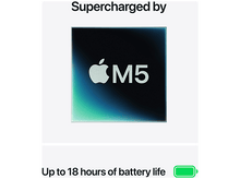 Charger l'image dans la galerie, alt1
