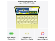 Charger l'image dans la galerie, alt1
