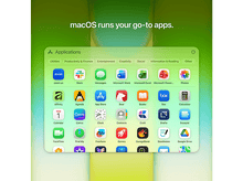 Charger l'image dans la galerie, alt1
