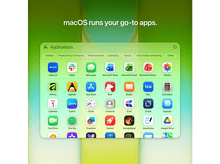 Charger l'image dans la galerie, alt1
