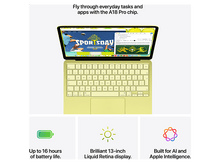 Charger l'image dans la galerie, alt1
