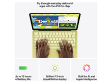 Charger l'image dans la galerie, alt1
