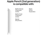 APPLE Pencil 2nd Generation 2025 (MXN43ZM/A )