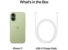 Charger l'image dans la galerie, alt1
