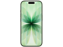 Charger l'image dans la galerie, alt1
