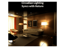 Charger l'image dans la galerie, alt1
