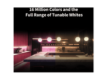 Charger l'image dans la galerie, alt1
