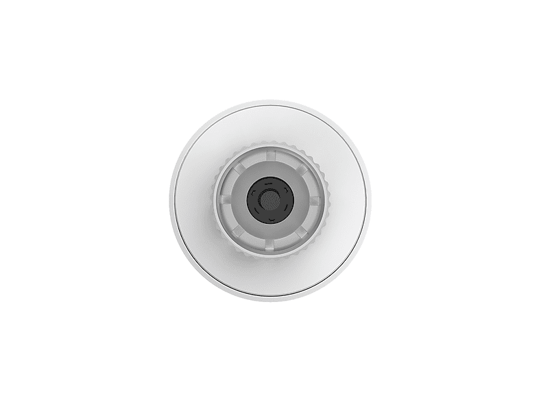alt1