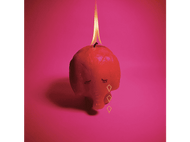 Arcade Fire - Pink Elephant - LP
