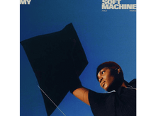 Charger l'image dans la galerie, Pochette d'album : Arlo Parks tenant un cerf-volant contre un ciel bleu vif, regardant vers le haut.
