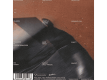 Charger l'image dans la galerie, Pochette d'album avec titres de chansons et image floue. Nuances de marron et de noir, texte en haut.
