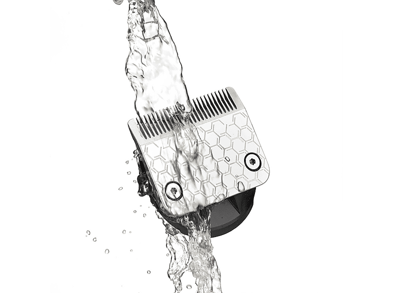 alt1