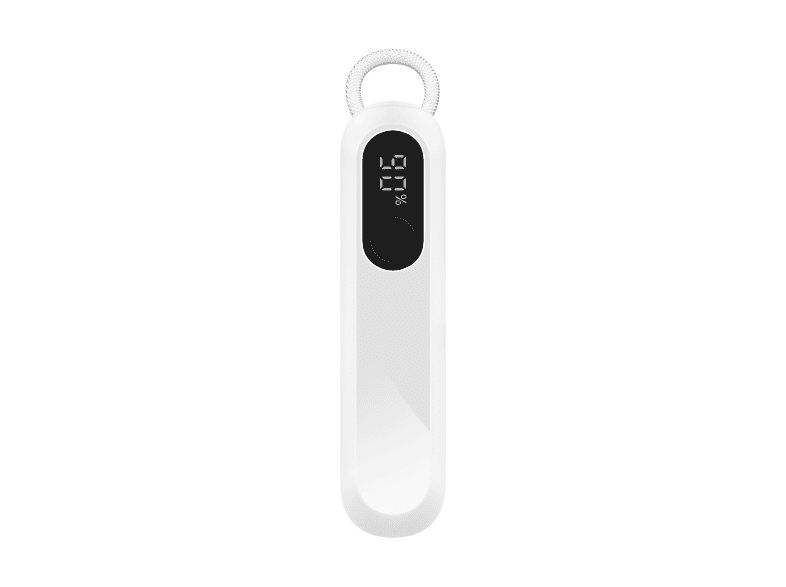 alt1