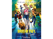 Charger l&#39;image dans la galerie, Birds Of Prey - Blu-ray
