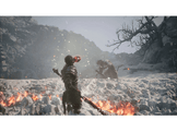 Black Myth: Wukong (PS5)