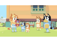 Charger l'image dans la galerie, Bluey et sa famille. Ils se tiennent dans la cour. L'un d'eux tient une fleur.
