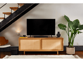BOSE Barre de son TV Speaker (838309-2100)