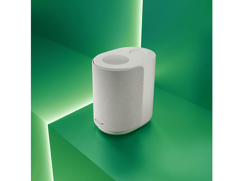 alt1