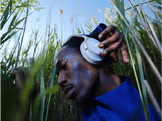 BOSE QuietComfort Ultra Headphones - Casque audio sans fil (880066-0200)