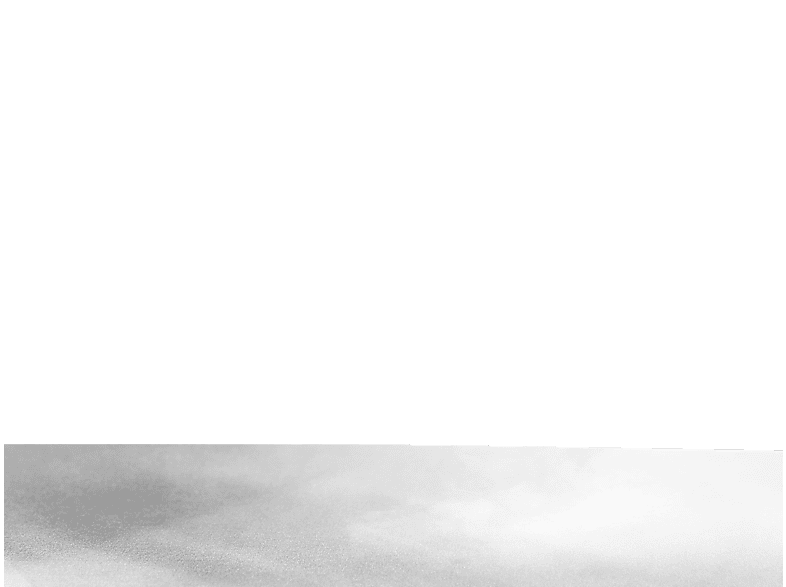 alt1