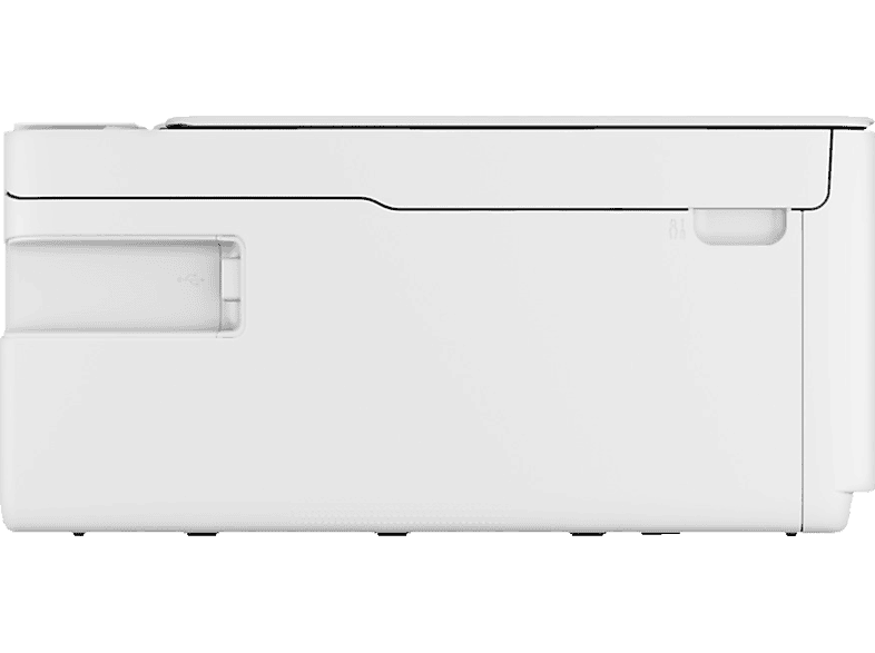 alt1