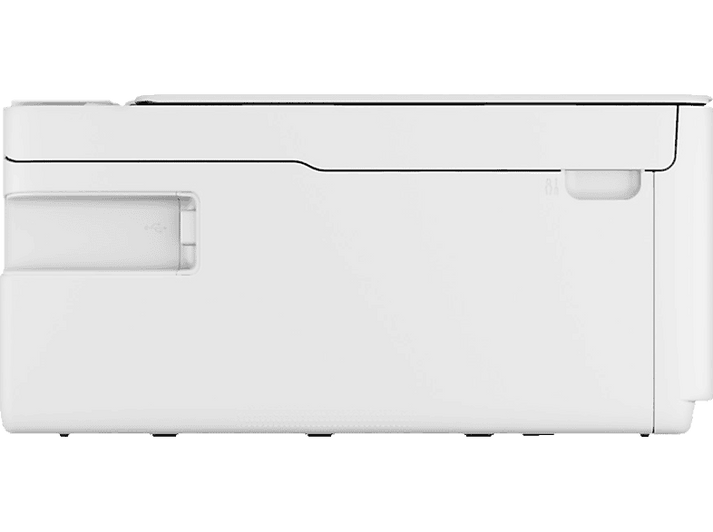 alt1