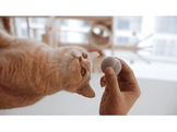 CHEERBLE CHEERBLE BALL M1 - GRAY Jouets