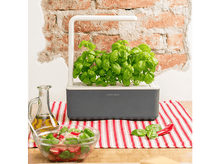 Charger l&#39;image dans la galerie, CLICK &amp; GROW Jardin interieur Smart Garden 3 Gris (CG-SG3GREY)
