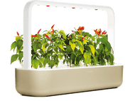 CLICK & GROW Jardin interieur Smart Garden 9 Beige (CG-SG9BEIG)