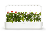 CLICK & GROW Jardin interieur Smart Garden 9 Blanc (CG-SG9WHT)