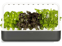 Charger l&#39;image dans la galerie, CLICK &amp; GROW Jardin interieur Smart Garden 9 Noir (CG-SG9GREY)
