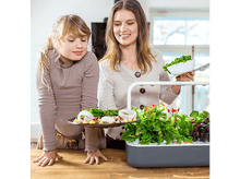 Charger l&#39;image dans la galerie, CLICK &amp; GROW Jardin interieur Smart Garden 9 Noir (CG-SG9GREY) Jardin intérieur
