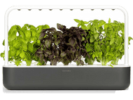 CLICK & GROW Jardin interieur Smart Garden 9 Noir (CG-SG9GREY)