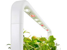 Charger l&#39;image dans la galerie, CLICK &amp; GROW Jardin interieur Smart Garden 9 Noir (CG-SG9GREY) Jardin intérieur
