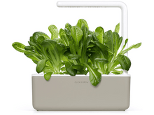 Charger l&#39;image dans la galerie, CLICK &amp; GROW Laitue romaine Pack de 3 (CNG REFILL ROMAIN)
